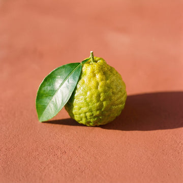 Bergamot